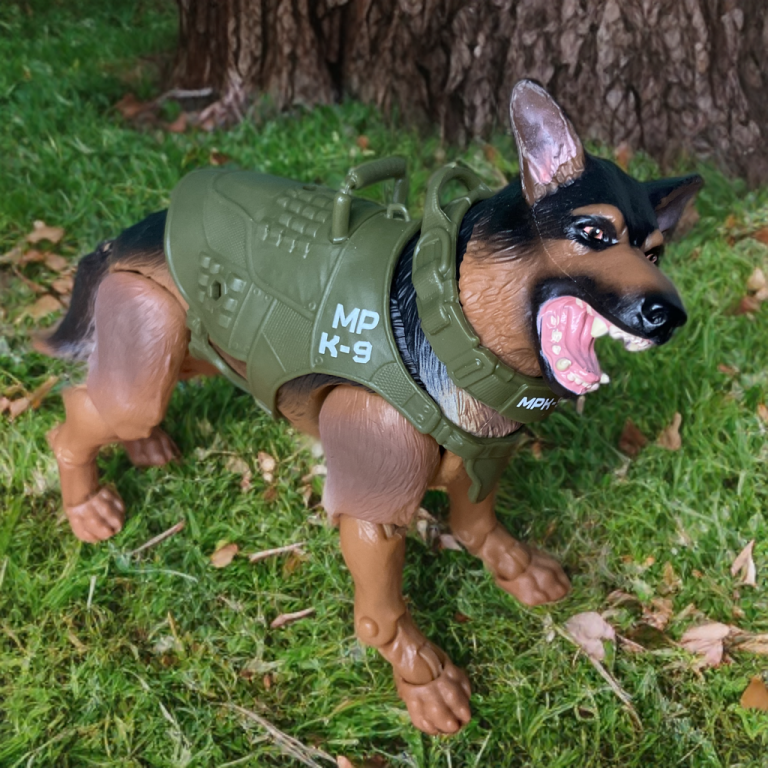 German shepherd