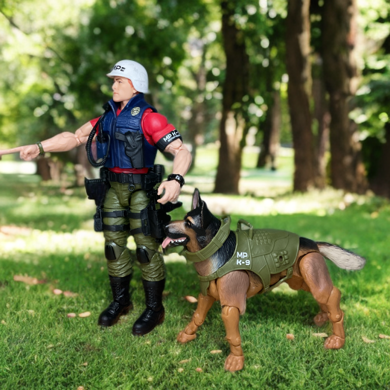 Law directing Order